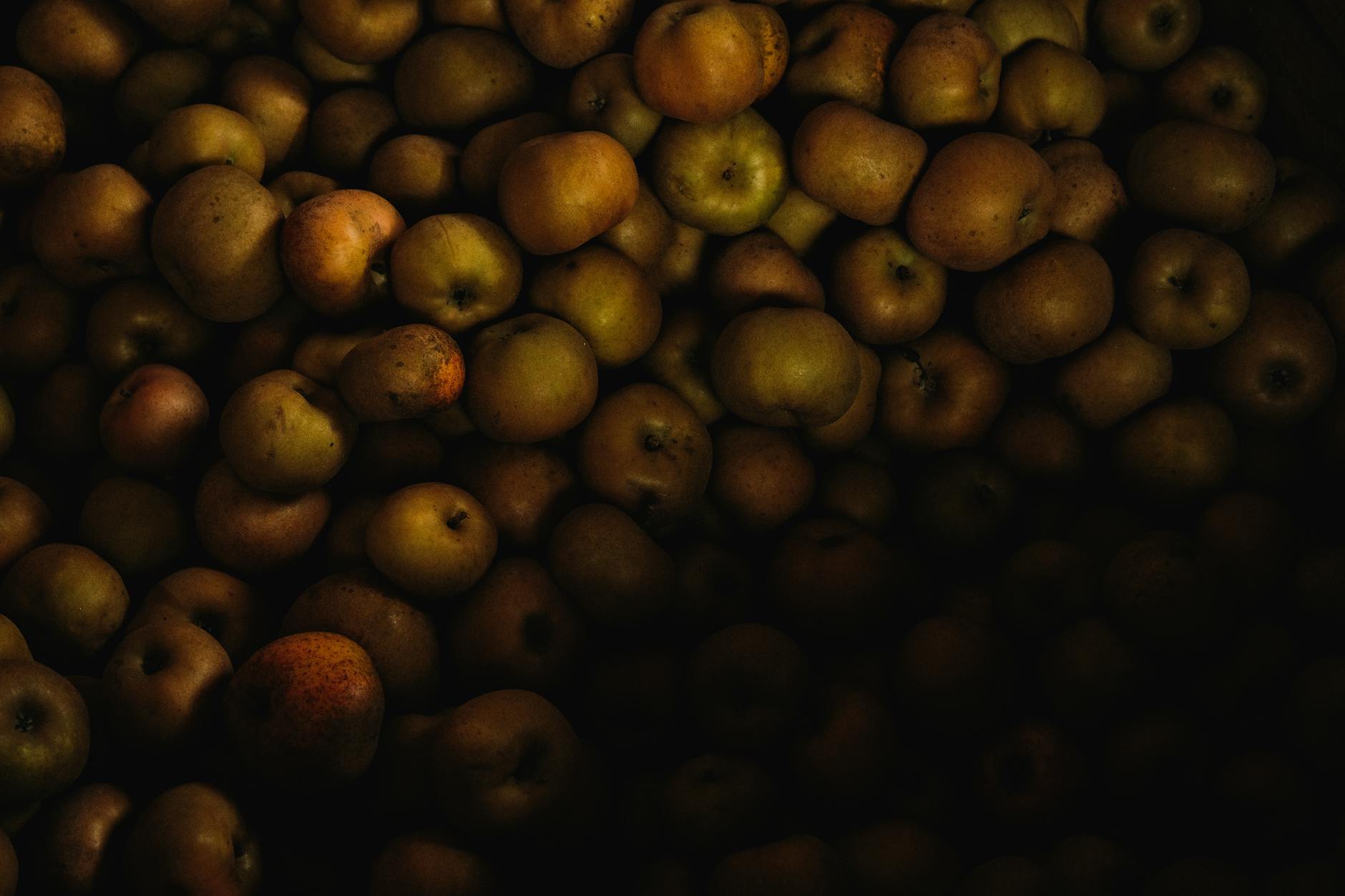 Apples
