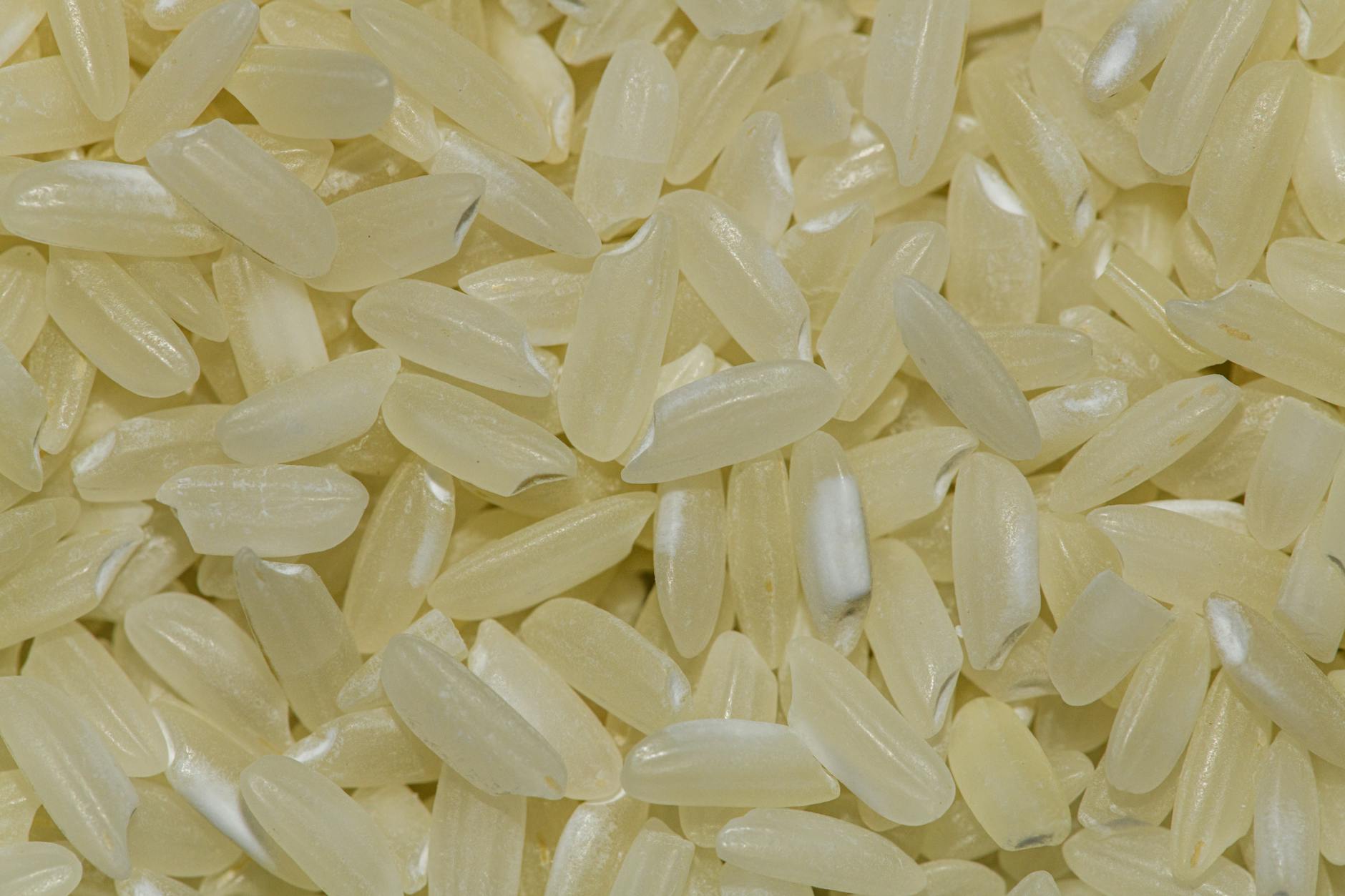 Basmati Rice