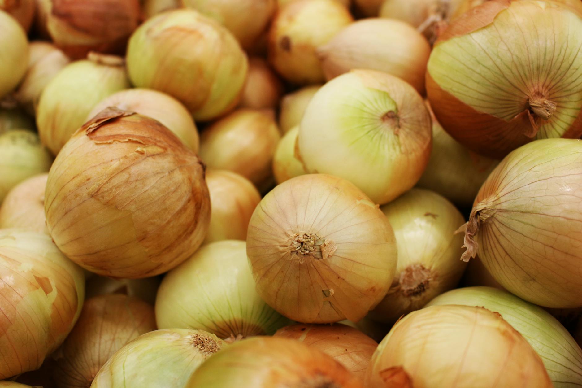 Onions